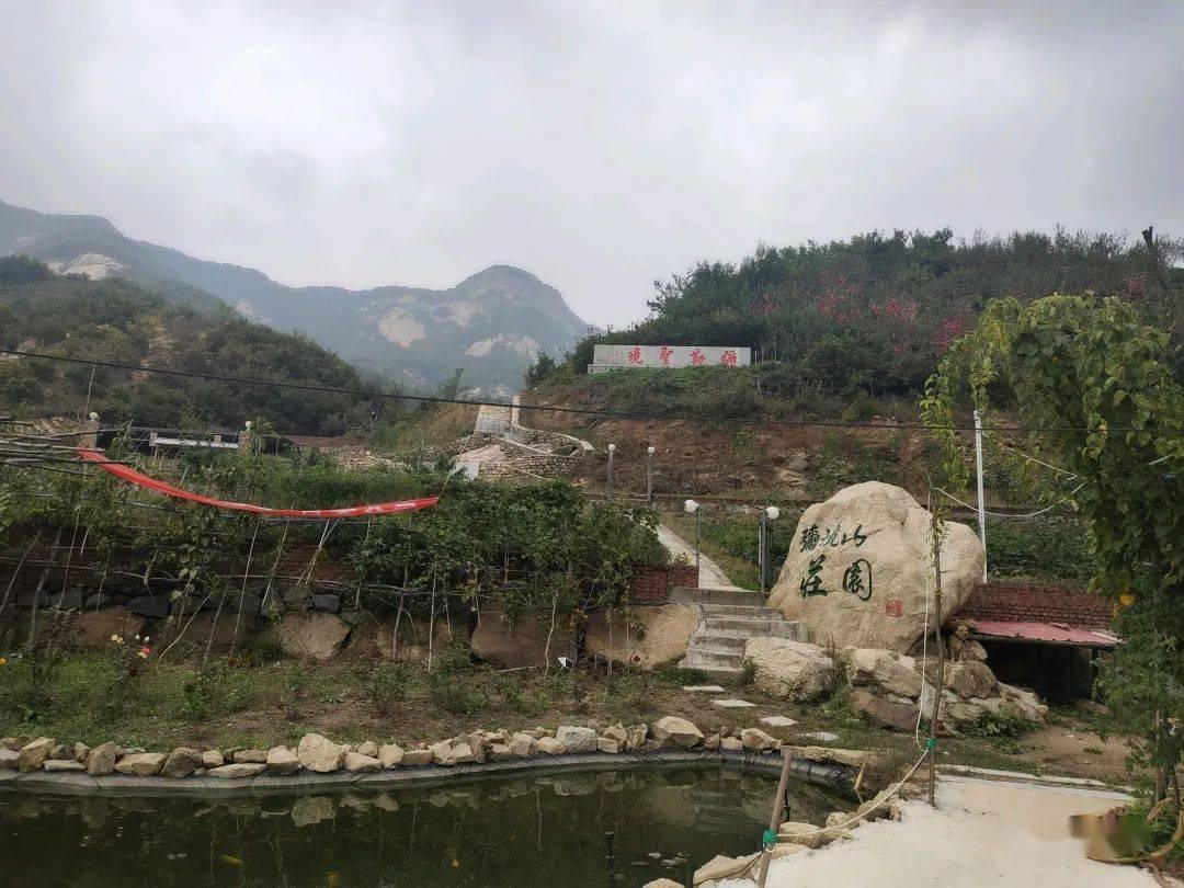 脸上的痘印怎么去除?——知识星球平台